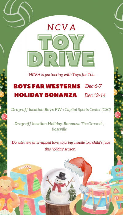 Red Illustration Christmas Toy Drive Flyer